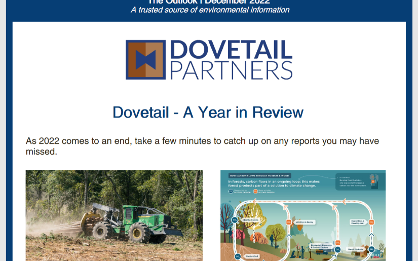 December Outlook 2022
